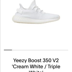 Yeezy boost 350 worn twice